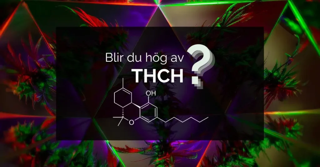 Blir du hög av THCH?
