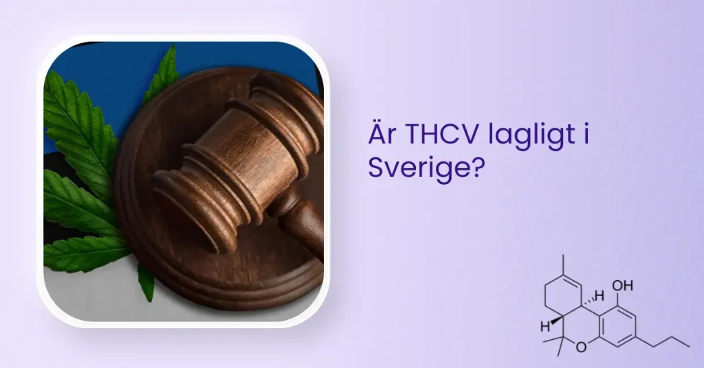 Är THCV lagligt i Sverige?