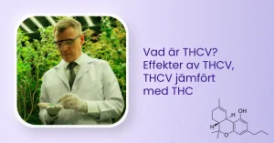 Vad är THCV? Effekter av THC-V, THCV jämfört med THC