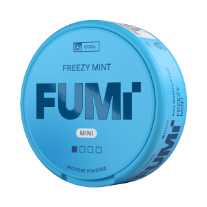 Fumi Freezy Mint Mini 4mg